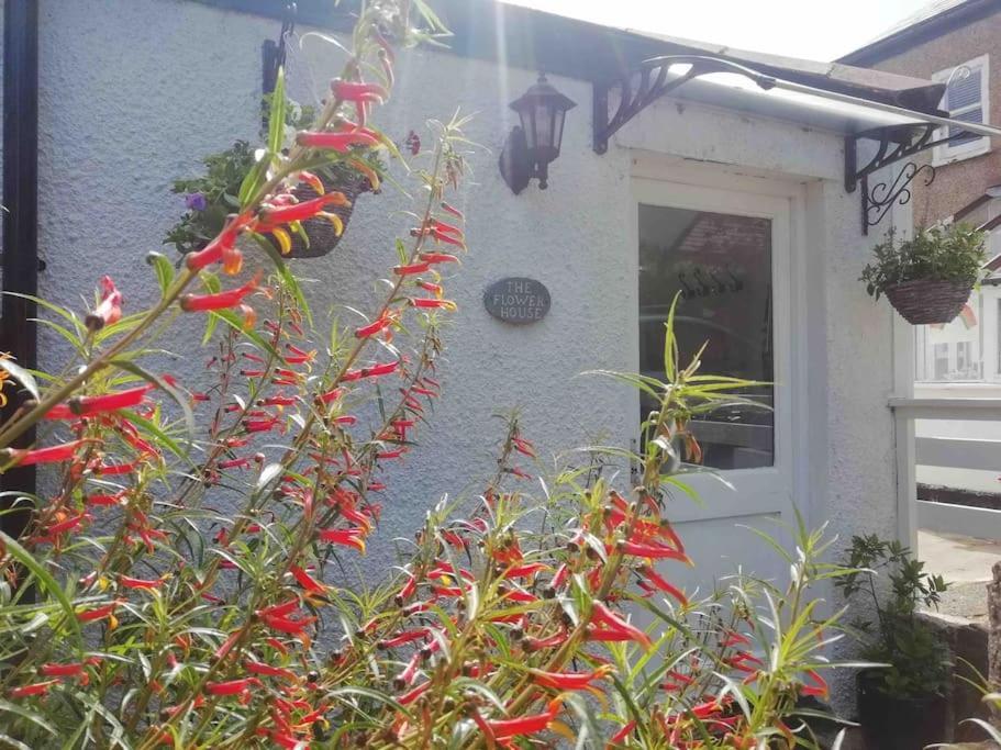 The Flower House, Idyllic Cornish Retreat. Apartman Saint Erth Kültér fotó